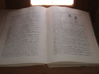 pic algerien tam wb k